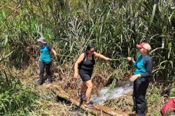 Foto - 3ª Caminhada Ecológica de Arapoti