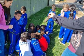 Foto - Dia da Árvore (21/09) – Mudas foram plantadas nas creches e escolas municipais