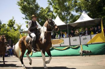 Foto - Desfile de 07 de setembro 2022 – Dia da Independência do Brasil