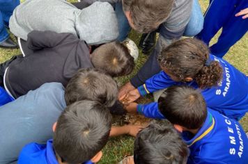 Foto - Dia da Árvore (21/09) – Mudas foram plantadas nas creches e escolas municipais