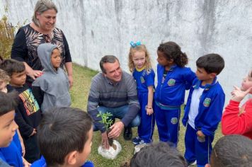 Foto - Dia da Árvore (21/09) – Mudas foram plantadas nas creches e escolas municipais