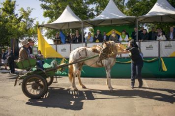 Foto - Desfile de 07 de setembro 2022 – Dia da Independência do Brasil