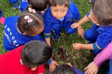 Foto - Dia da Árvore (21/09) – Mudas foram plantadas nas creches e escolas municipais