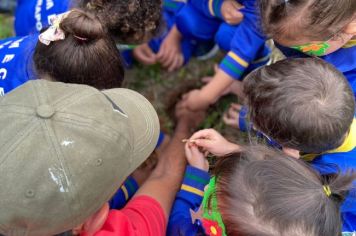 Foto - Dia da Árvore (21/09) – Mudas foram plantadas nas creches e escolas municipais