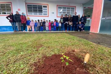 Foto - Dia da Árvore (21/09) – Mudas foram plantadas nas creches e escolas municipais