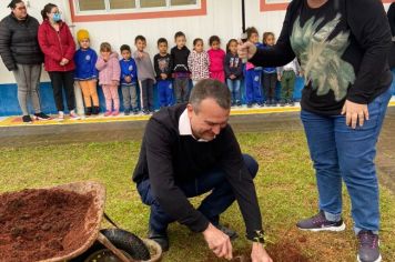 Foto - Dia da Árvore (21/09) – Mudas foram plantadas nas creches e escolas municipais