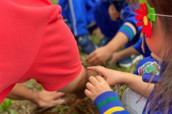 Foto - Dia da Árvore (21/09) – Mudas foram plantadas nas creches e escolas municipais