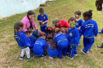 Foto - Dia da Árvore (21/09) – Mudas foram plantadas nas creches e escolas municipais