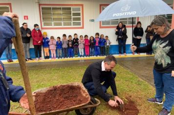 Foto - Dia da Árvore (21/09) – Mudas foram plantadas nas creches e escolas municipais