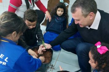 Foto - Dia da Árvore (21/09) – Mudas foram plantadas nas creches e escolas municipais