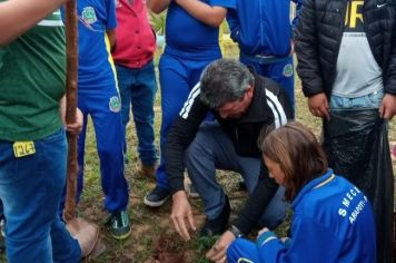 Foto - Dia da Árvore (21/09) – Mudas foram plantadas nas creches e escolas municipais