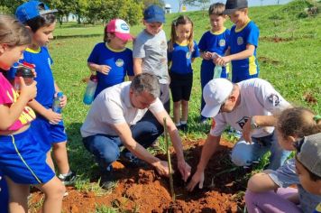 DIA DA ÁRVORE CELEBRADO COM PLANTIO DE MUDAS NA LINHA VERDE