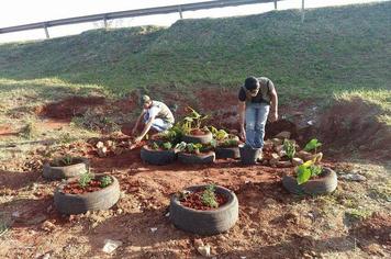 Prefeitura planta flores em aÃ§Ã£o de combate ao mosquito da dengue