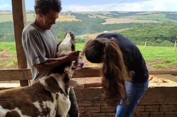 Prefeitura conta com veterinária para prestar assistência técnica ao pequeno produtor rural