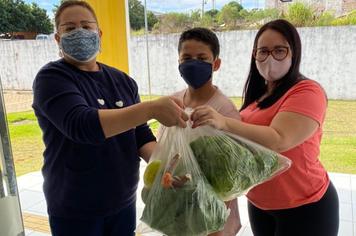 Projeto oferta alimentos produzidos pela agricultura familiar para crianças da Rede Municipal de Ensino de Arapoti