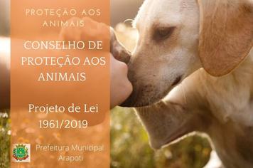 Criado Conselho Municipal de ProteÃ§Ã£o aos Animais