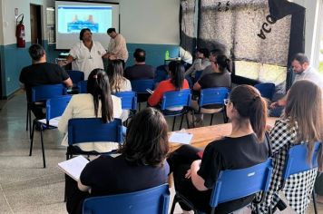 NÚCLEO DE SEGURANÇA DO PACIENTE NA ATENÇÃO PRIMÁRIA À SAÚDE