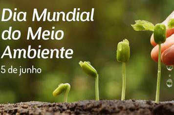 Hoje Ã© o Dia Mundial do Meio Ambiente