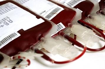 Dia 14 de julho tem nova campanha para doaÃ§Ã£o de sangue