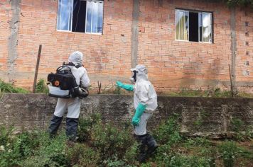 Setor de Endemias realiza bloqueio de Dengue na Vila Romana