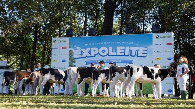 45Â° Expoleite recebe mais de 12 mil visitantes