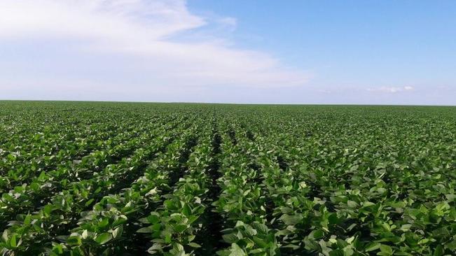 INCRA já está emitindo Certificado de Cadastro de Imóvel Rural â?? CCIR 2018