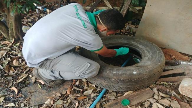 InfestaÃ§Ã£o de mosquitos da Dengue no municÃ­pio preocupa