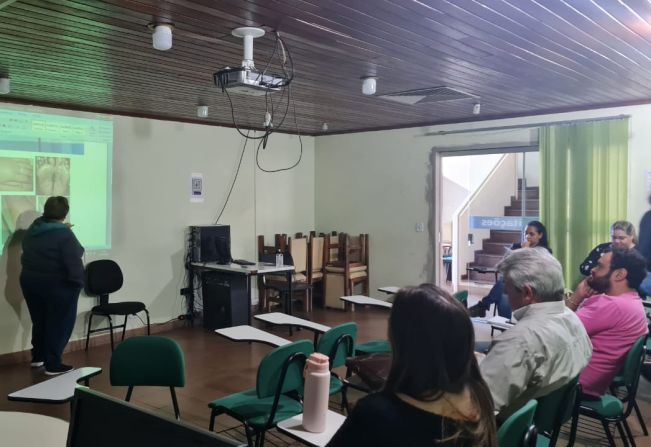 Chikungunya e Esporotricose Humana